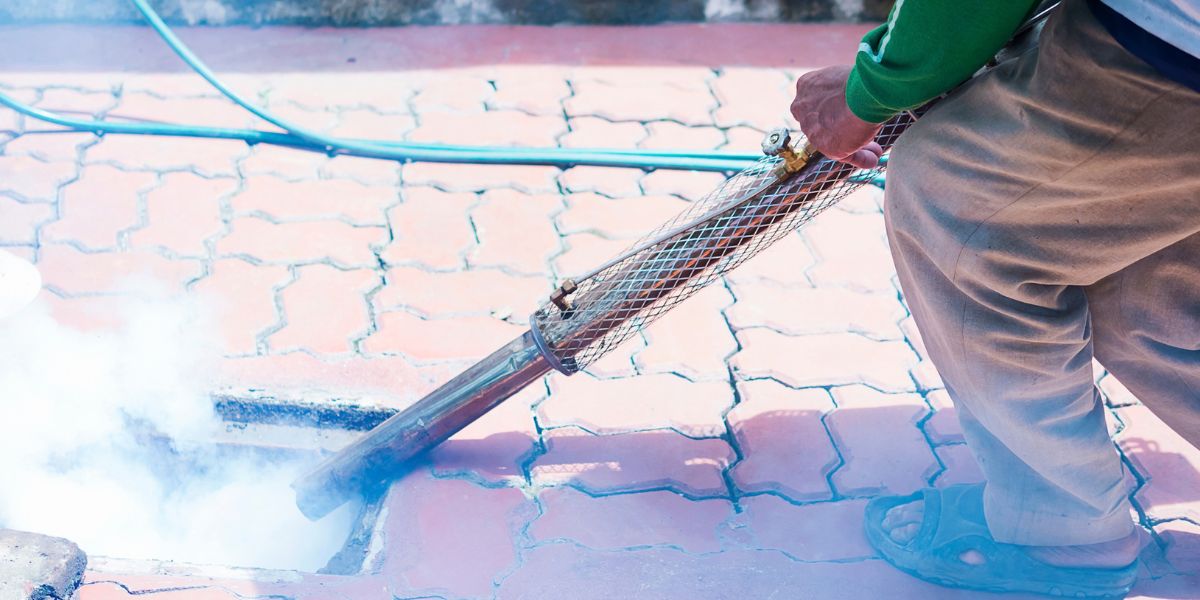 Best Way to Control Mosquitoes at Home