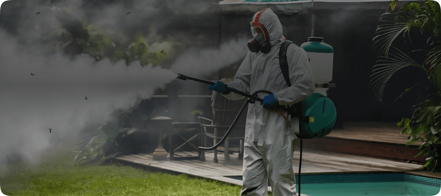 wasps control in Dubai