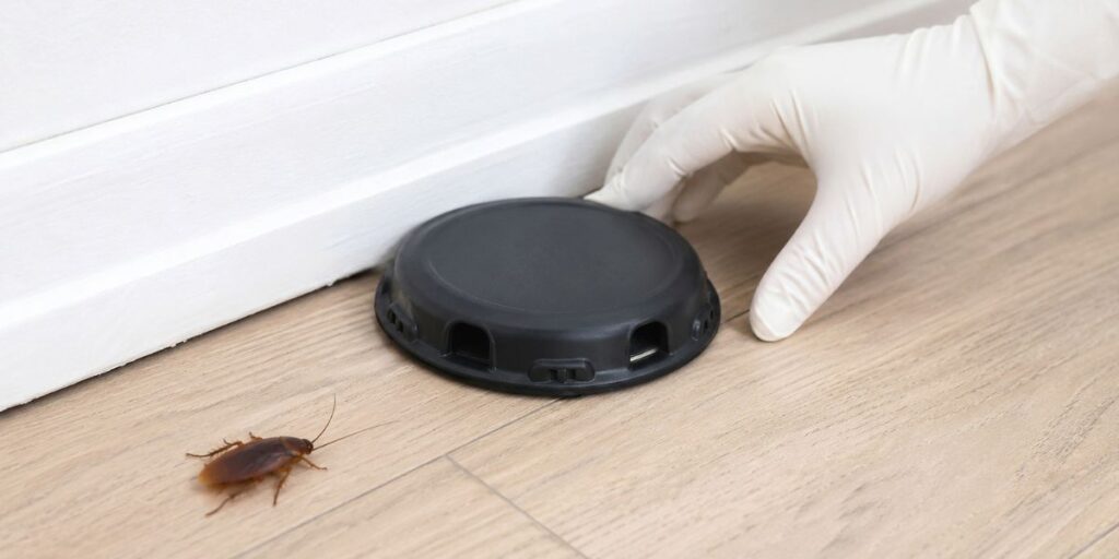 cockroach pest control products