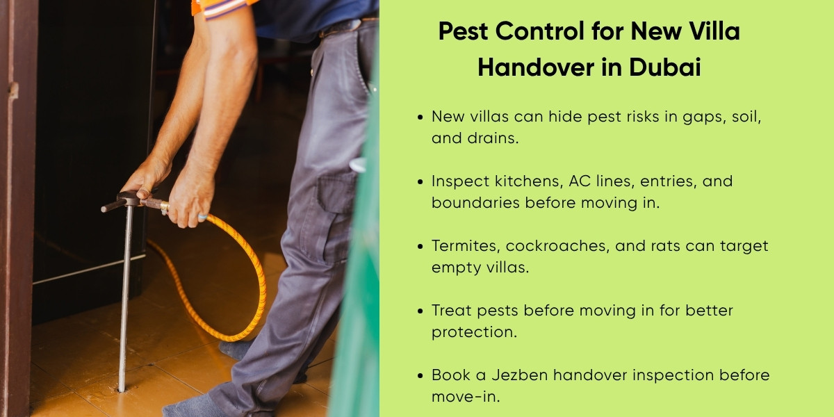Guide to Pest Control for New Villa Handover in Dubai