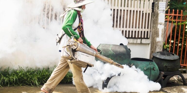 Mosquito Control Costs in Dubai