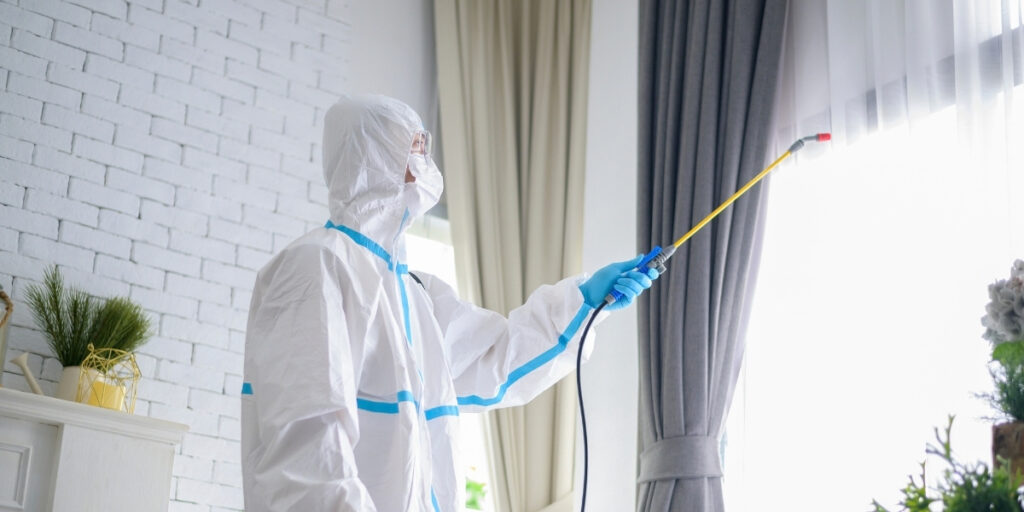 Pest Control for New Villa Handover in Dubai