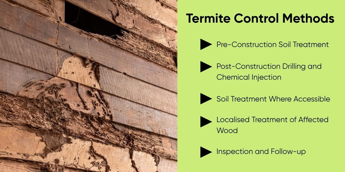 Termite Control Methods in Dubai